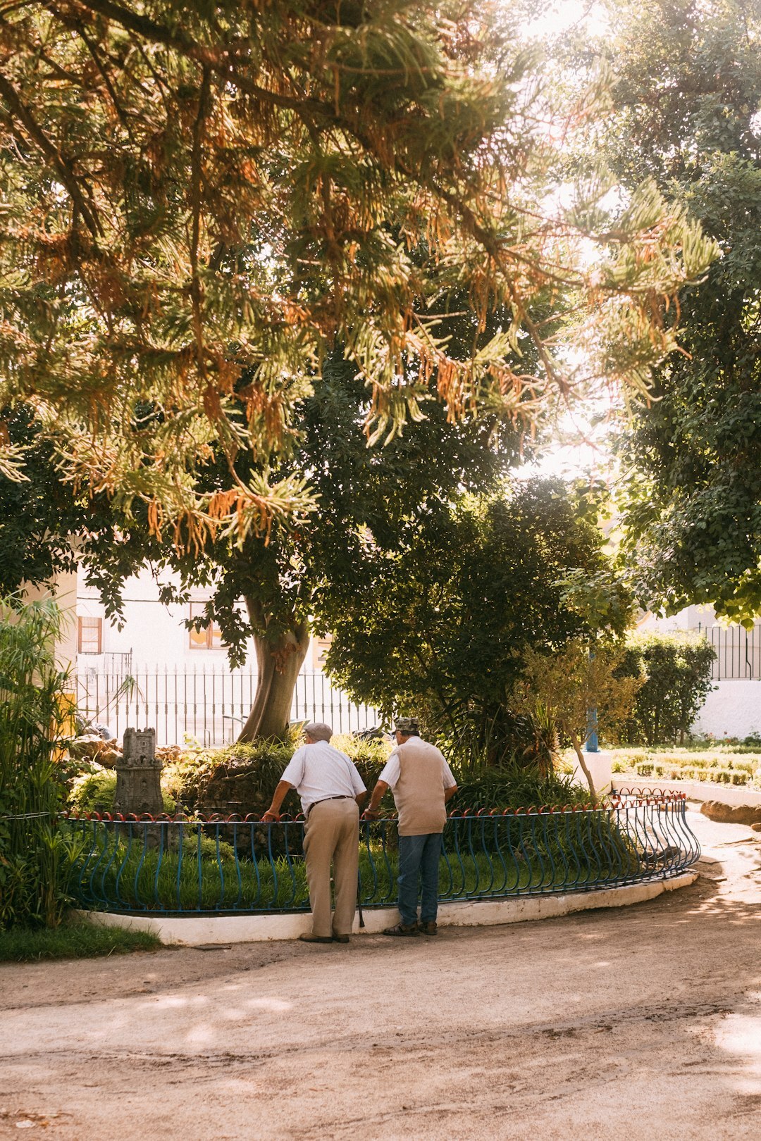 senior couple enjoying park