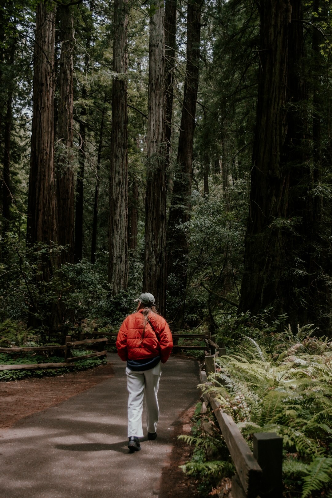 senior walking in park