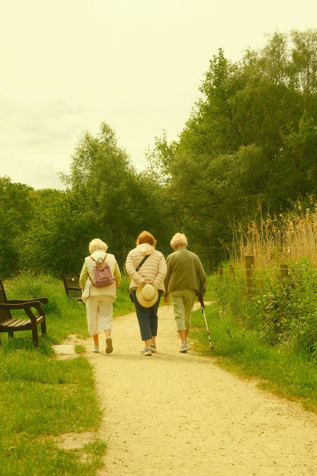 senior group walking in park